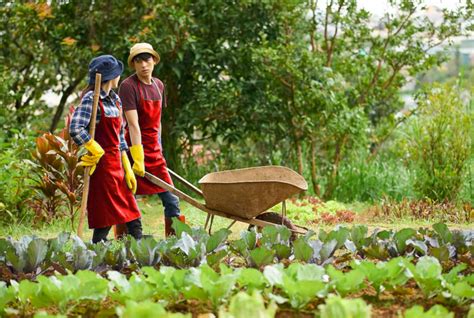 Oferta de trabajo: Matrimonio para cuidar finca y servicio。